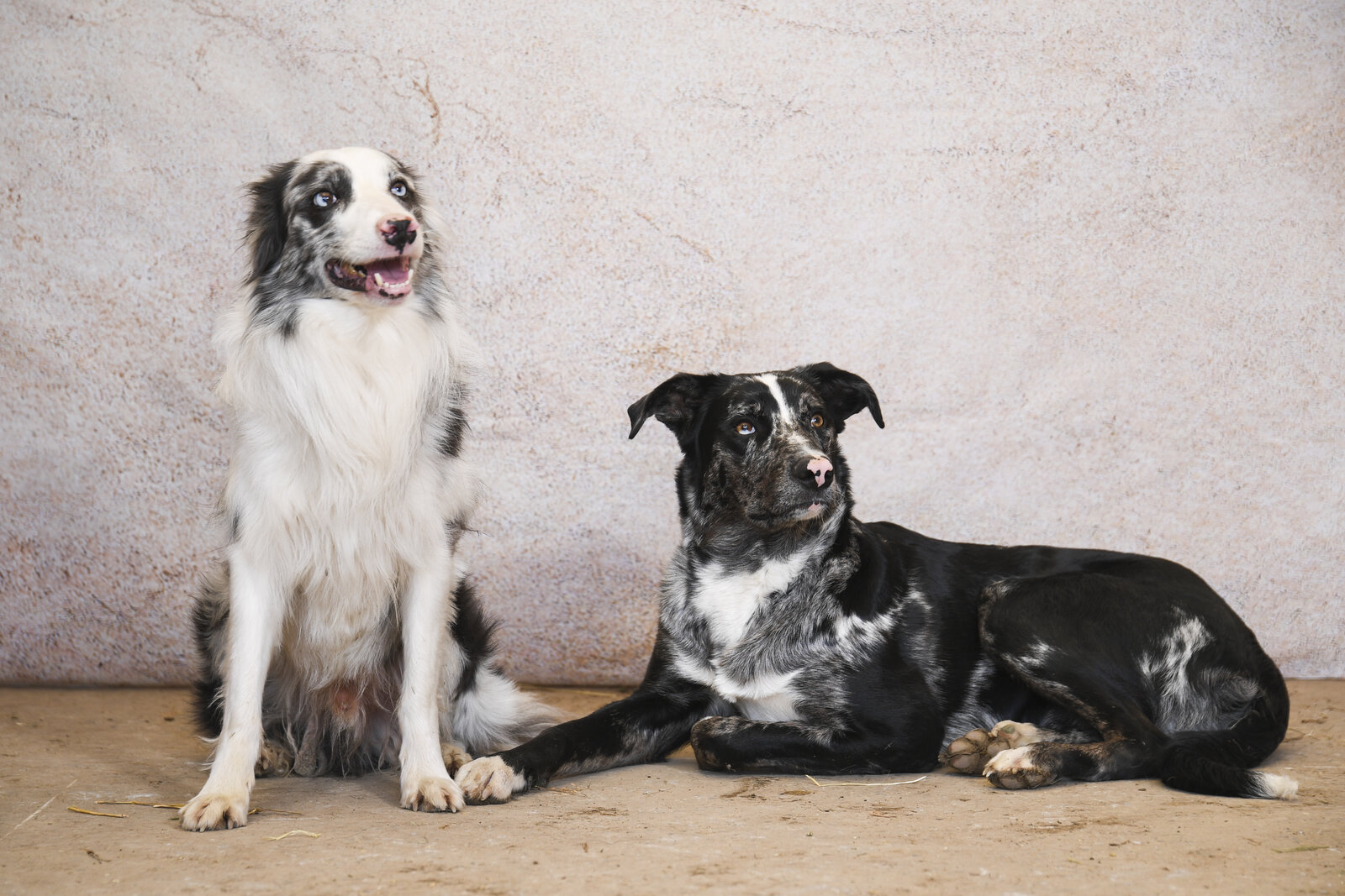 Séance studio fond sable
